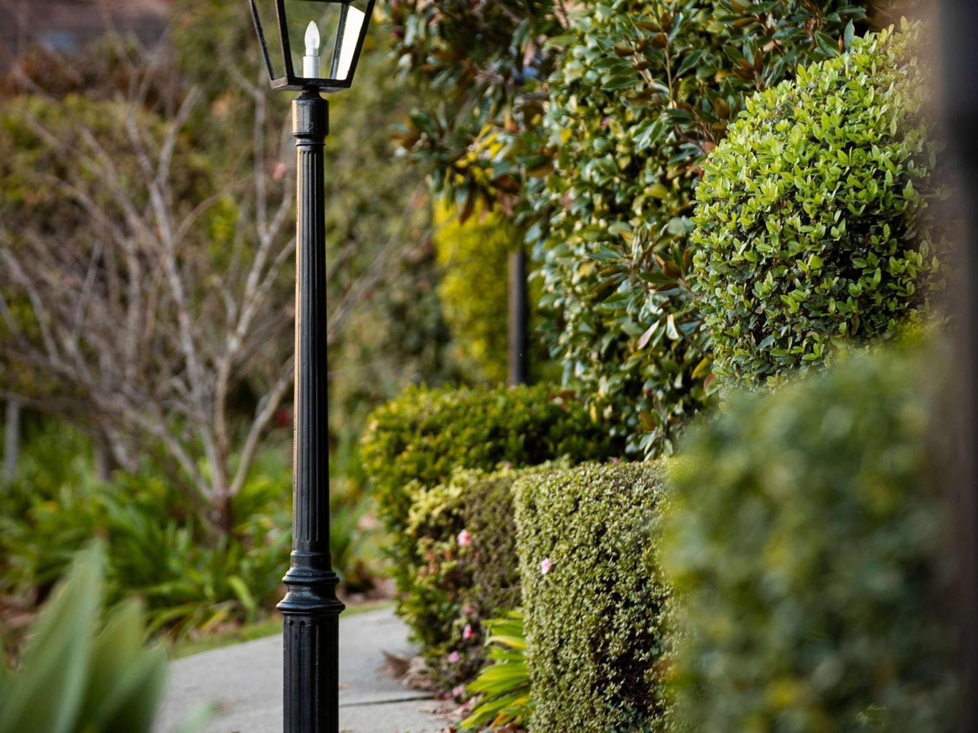 Peppers The Hills Lodge Castle Hill Exterior foto